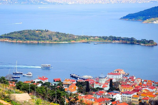 Buyukada Princes’ Island Guided Day Tour with lunch from Istanbul - Arriving at Büyükada and meeting the carriage