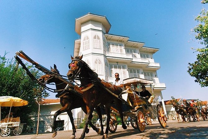 Buyukada Princes’ Island Guided Day Tour with lunch from Istanbul - Free time, beaches, and the reality of the schedule