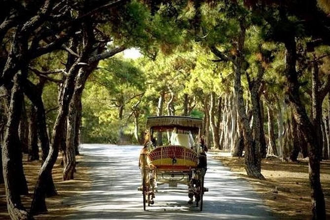Buyukada Princes’ Island Guided Day Tour with lunch from Istanbul - How much value do you get for $84.21?