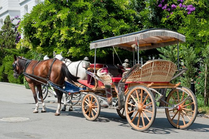 Buyukada Princes’ Island Guided Day Tour with lunch from Istanbul - The 8:00 am start and hotel pickup