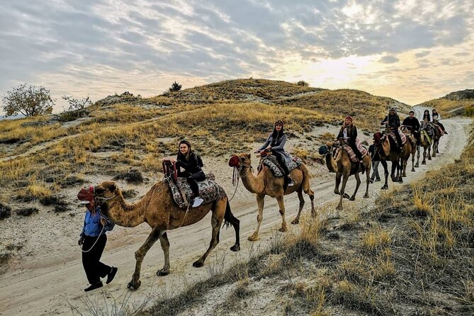 Camel Safari in Cappadocia - Animal welfare deserves your attention