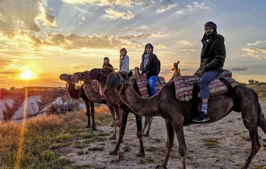 Camel Safari in Cappadocia - The animal welfare question deserves attention