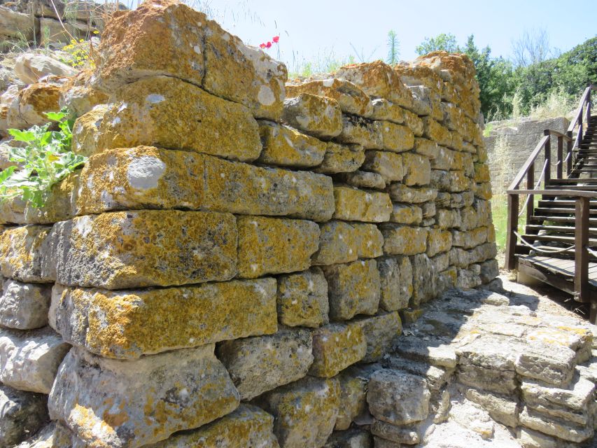 Canakkale: Full-Day Troy and Gallipoli Tour - Two guides, two different strengths