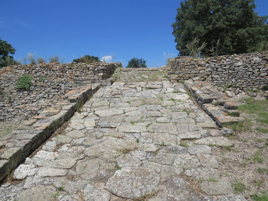 Canakkale: Full-Day Troy and Gallipoli Tour - The pace, vehicle, and walking demands