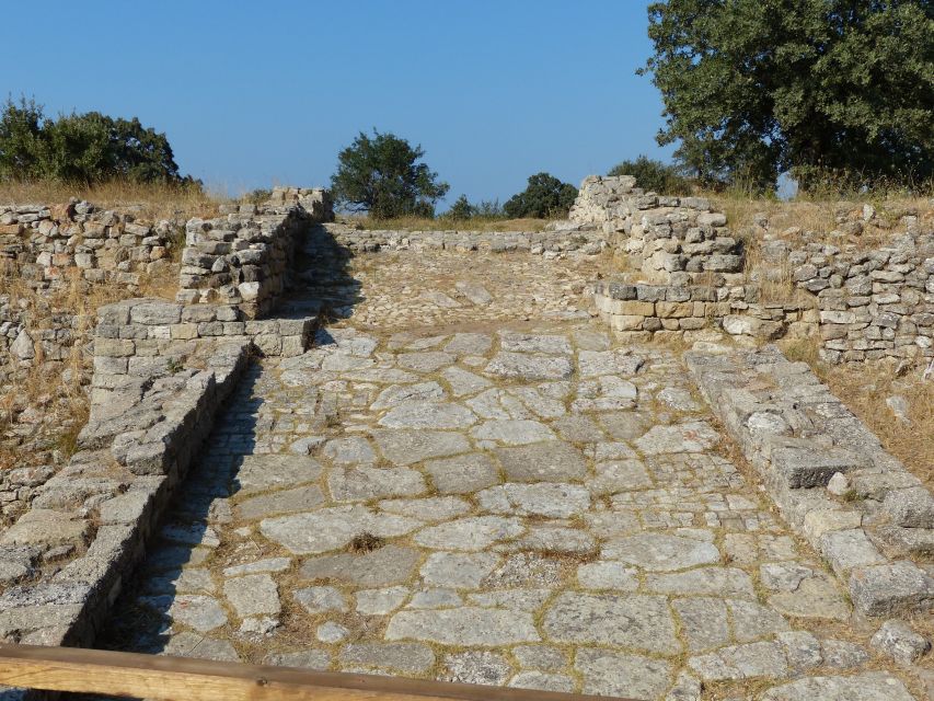 Canakkale: Half-Day Troy Tour - Why Troy is worth your time from Canakkale