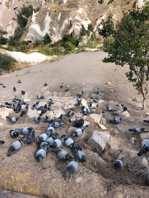 Cappadocia 1 or 2 Day Private Tour - What the guide adds to the scenery