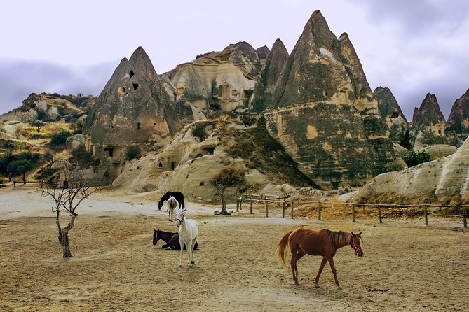 Cappadocia 2 Day Tour from Antalya - Guide service and the language question