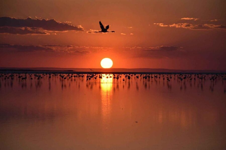 Cappadocia Amazing Sunset Tour To Salt Lake - The strongest part: transport and personal service
