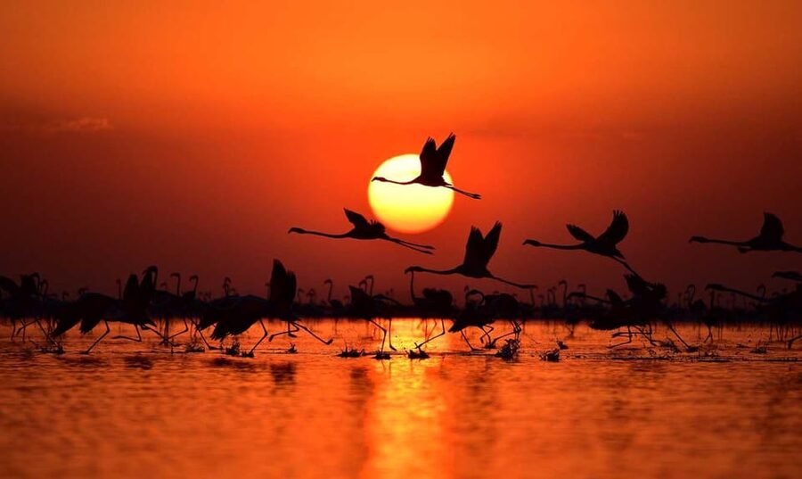 Cappadocia Amazing Sunset Tour To Salt Lake - Who should book this sunset outing?
