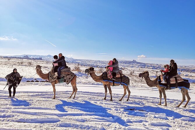 Cappadocia Camel Ride Tour - Camels, comfort, and safety