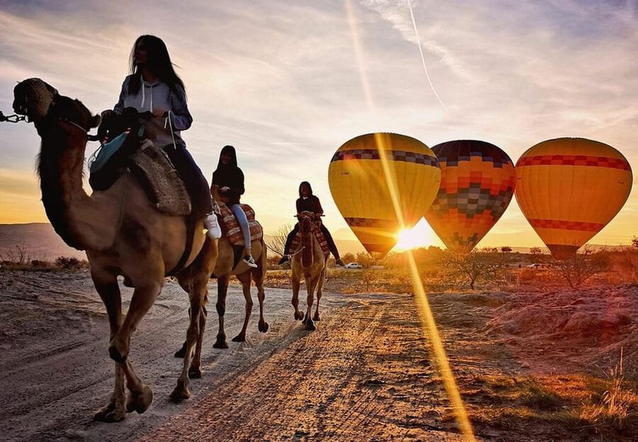 Cappadocia: Camel Safari - Language and guide support