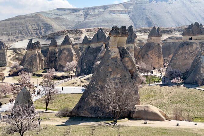 Cappadocia : Full Day Private Tour - Devrent Valley turns geology into a guessing game