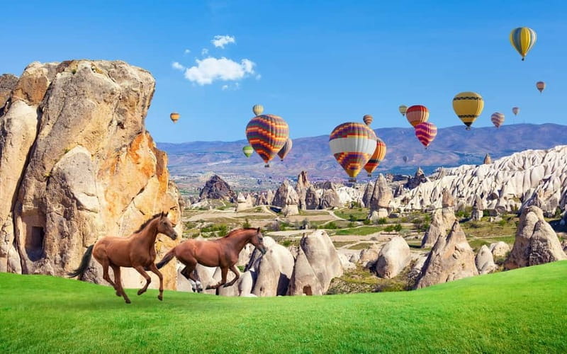 Cappadocia: Göreme Horse Riding, Fairy Chimneys w/Transfer - Apricot orchards and traditional vineyards