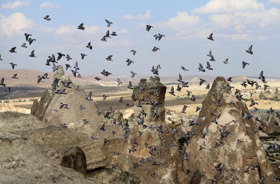 Cappadocia Green Tour (Includes lunch and museum tickets) - Guides can shape the whole experience