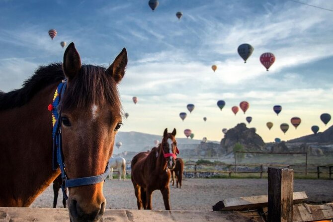 Cappadocia Horse Riding Experience Sunrise Sunset Daytime - Quick points before you saddle up