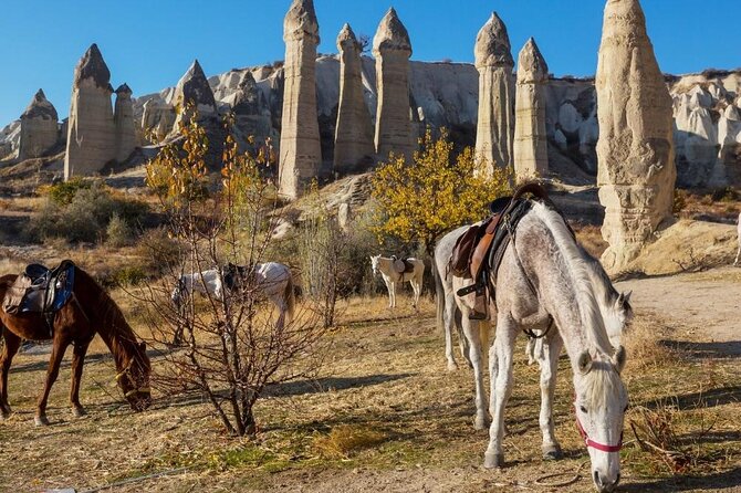 Cappadocia Horse Riding Experience Sunrise Sunset Daytime - Meeting the horses and learning the basics