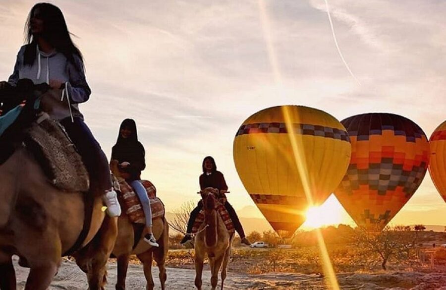 Cappadocia: Horse Safari with Hotel Transfer - Fairy chimneys, vineyards, and places cars cannot reach