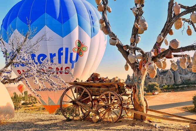 Cappadocia Hot Air Balloons or Kelebek Flight - One hour above Göreme and the surrounding valleys