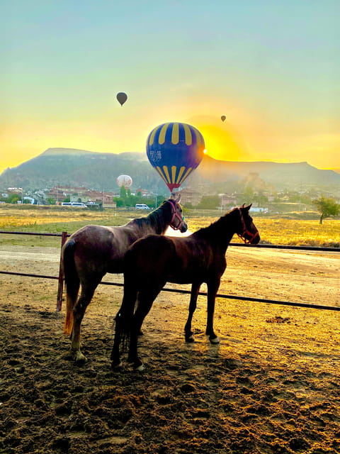Cappadocia's Sunrise Horseback Riding - Riding toward Rose Valley at first light