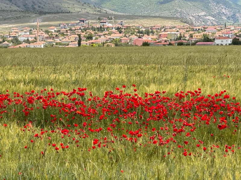 Cappadocia: Shared/Private Tour with Lunch - Ihlara Valley, 90 minutes of walking and views