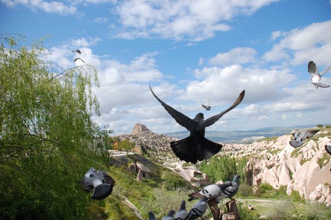 Cappadocia Tour - Cave dwellings and Göreme Panorama bring the best photo stops