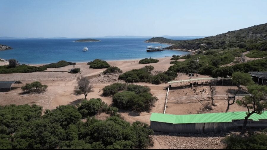 Cesme: Islands and Bays Boat Trip with BBQ Lunch - Two changing bays after Donkey Island