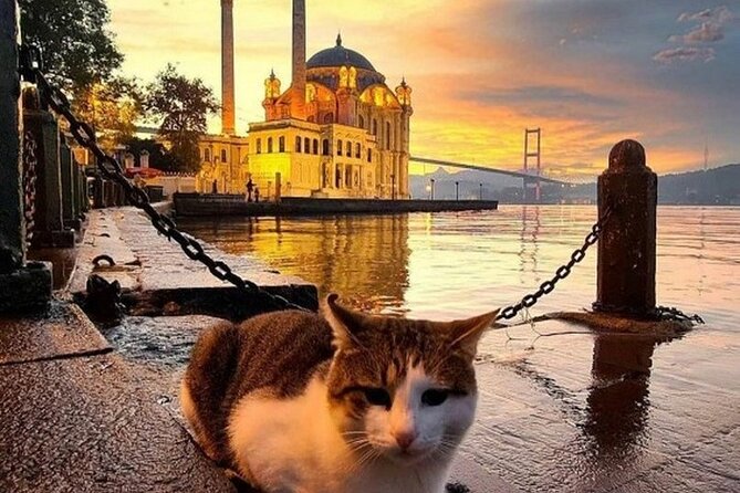 Circle Istanbul (Extraordinary Istanbul) - Seeing Istanbul from the Bosphorus