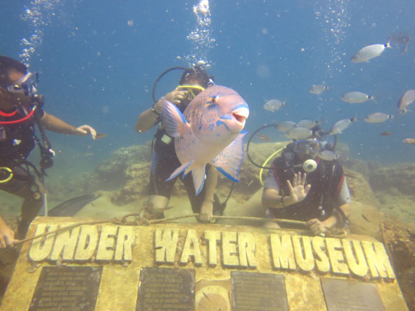 City of Side: Scuba Diving with Lunch - What the beginner training involves