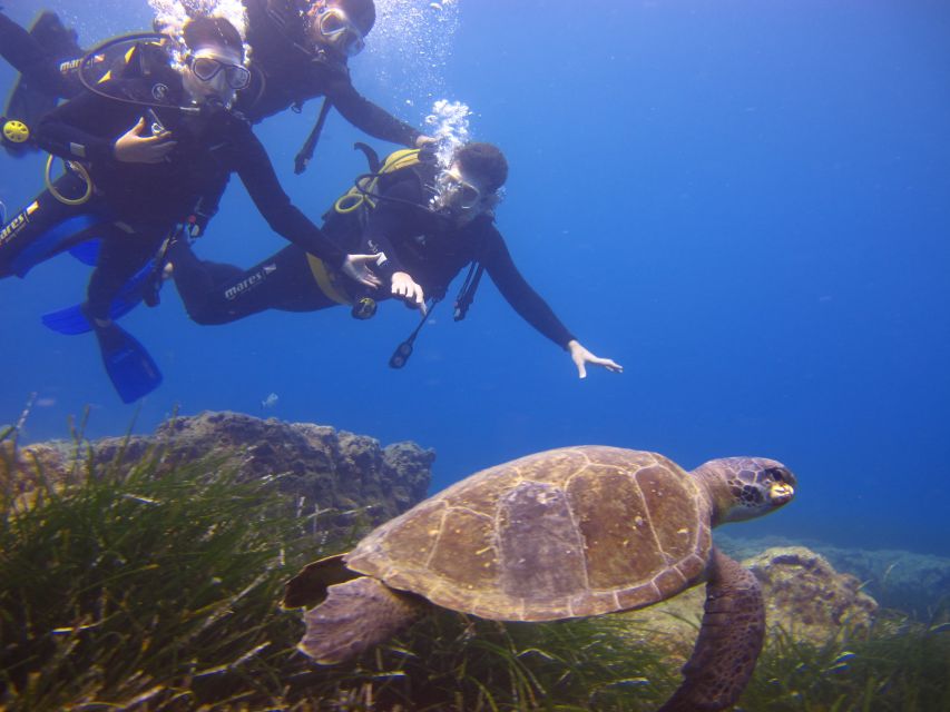 City of Side: Underwater Museum Scuba Diving Visit - Practical advice for a smoother day
