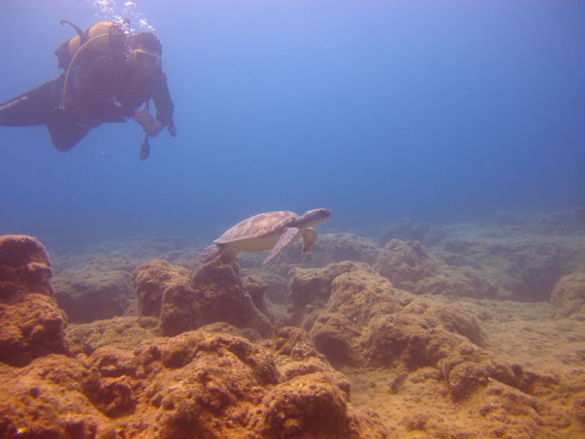 City of Side: Underwater Museum Scuba Diving Visit - The first 20-minute underwater session