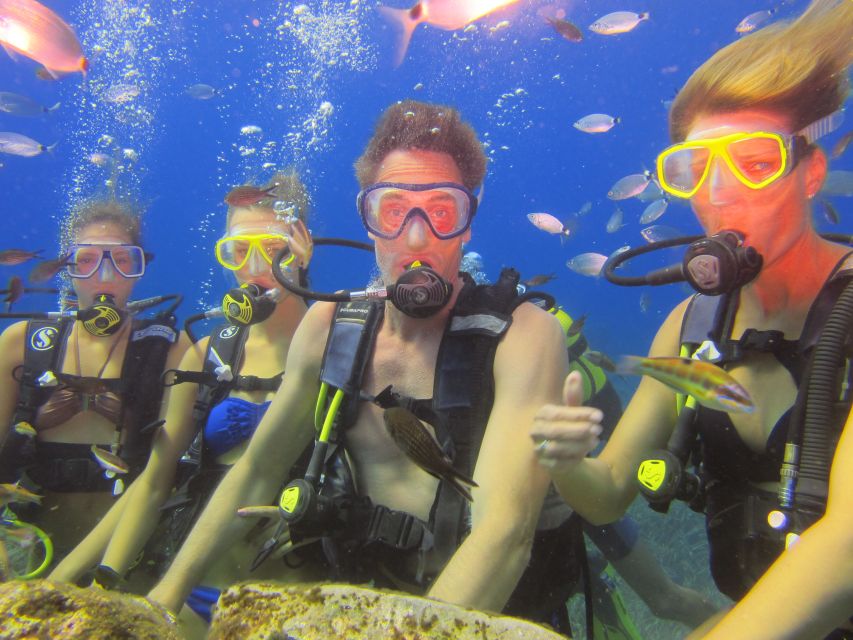 City of Side: Underwater Museum Scuba Diving Visit - The second session and the sea life around the statues
