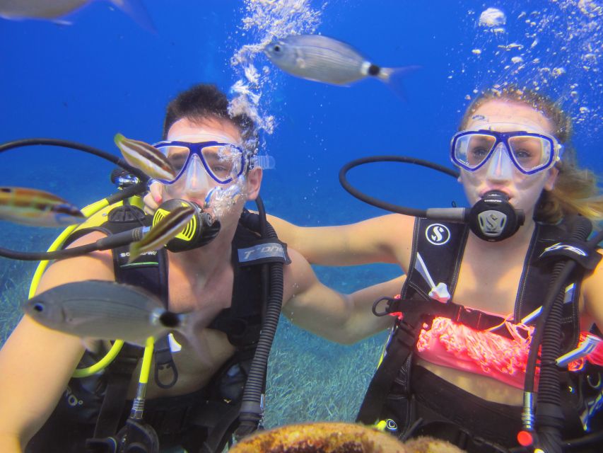 City of Side: Underwater Museum Scuba Diving Visit - Who should book this underwater museum visit