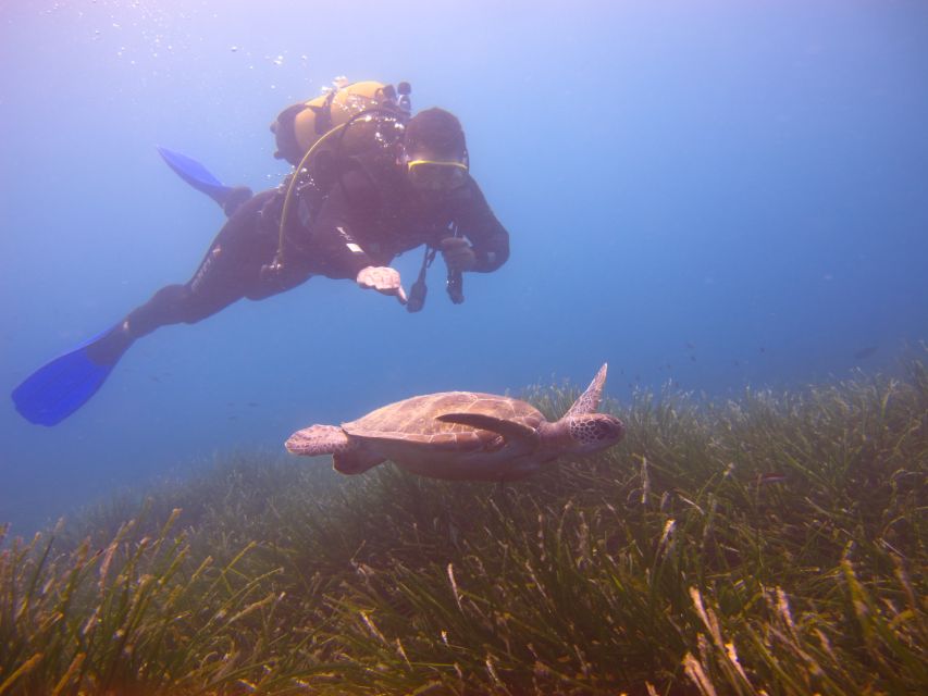 City of Side: Underwater Museum Scuba Diving Visit - From hotel pickup to the Side harbor