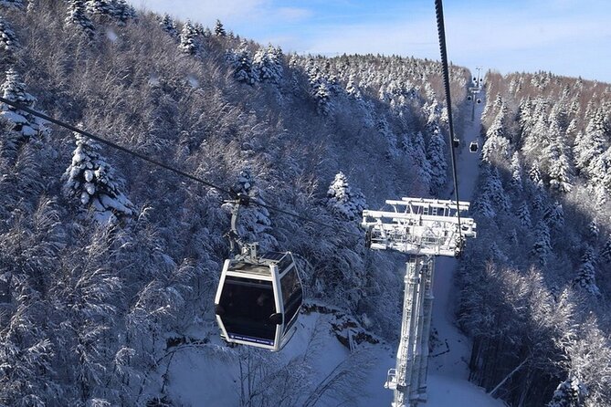 Daily Bursa Uludag Mountain & Cable Car Tour with Lunch from Istanbul - The One-Way Cable Car Ride