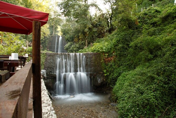 Daily Sapanca & Maşukiye & Mahmudiye Tour with Lunch from Istanbul - Maşukiye brings forests and fresh air