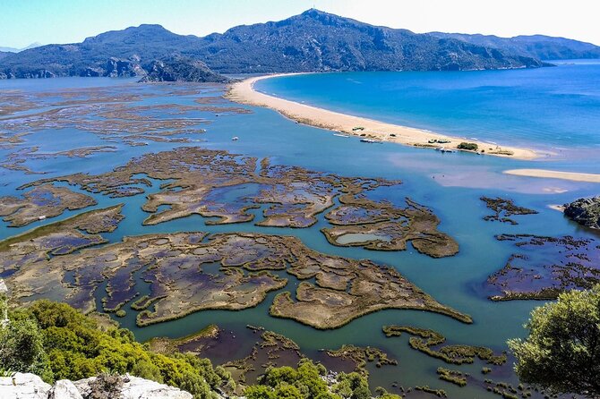 Dalyan Day Trip with Mud Bath and Turtle Beach From Fethiye - A quick look at Kaunos and its rock tombs