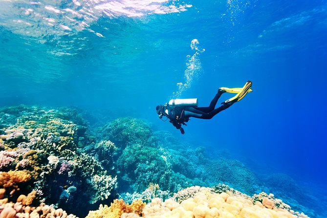 Diving in the Mediterranean sea - What the $57.82 price really buys