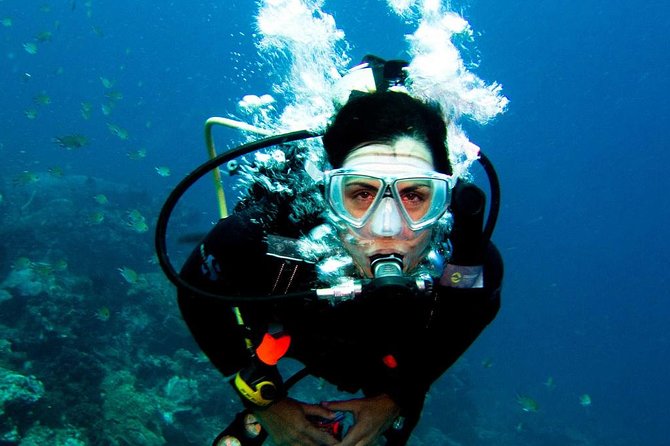 Diving in the Mediterranean sea - The first underwater session for beginners