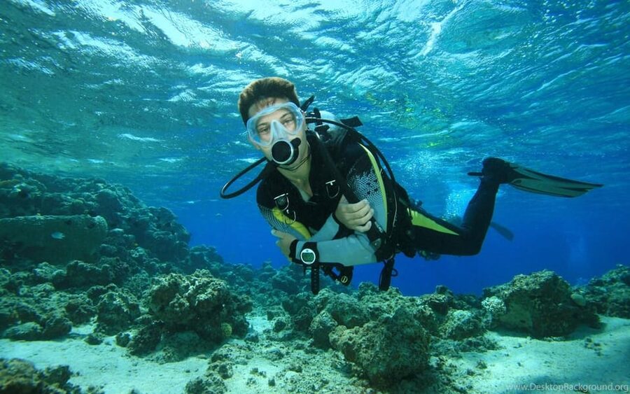 Diving Tour from Alanya & Side with Lunch - 2 Dives Included - Key points to know before you book