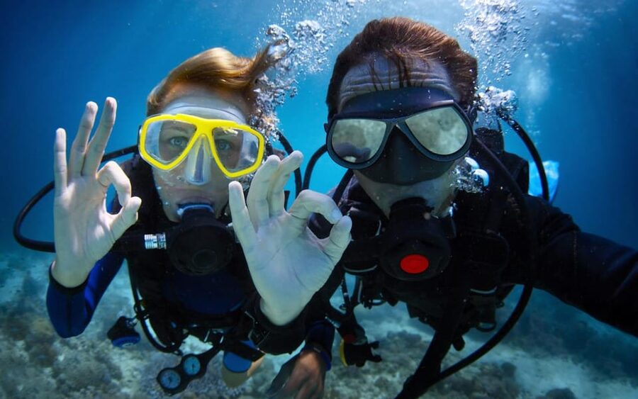 Diving Tour from Alanya & Side with Lunch - 2 Dives Included - What you can see at 6 meters