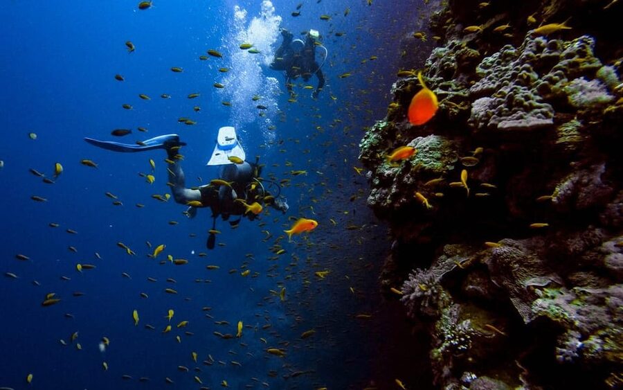 Diving Tour from Alanya & Side with Lunch - 2 Dives Included - The 12-meter descent brings a new challenge