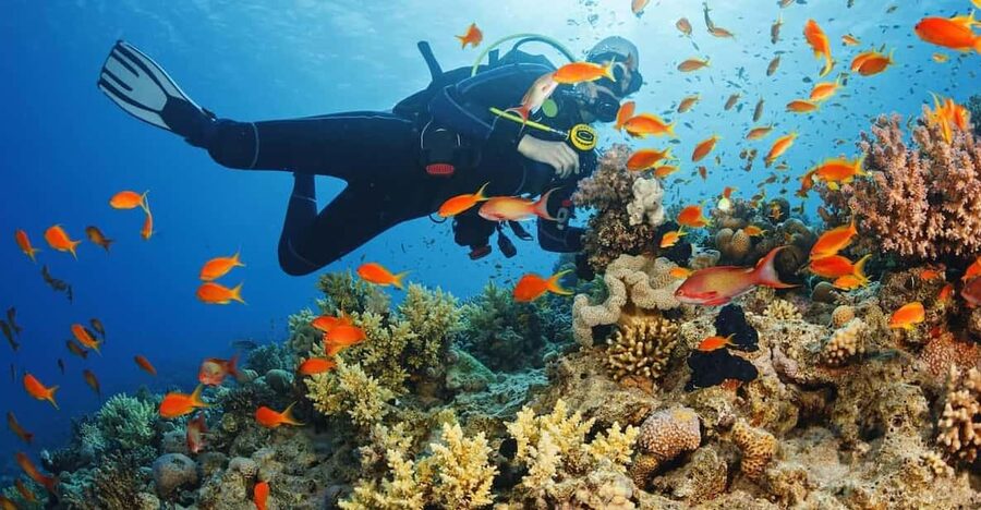 Diving Tour from Alanya & Side with Lunch - 2 Dives Included - Practical packing advice for a hot boat day