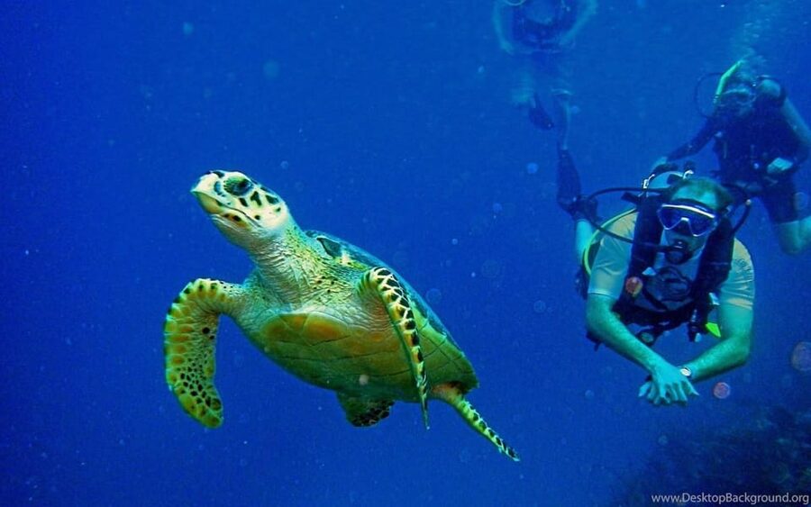 Diving Tour from Alanya & Side with Lunch - 2 Dives Included - The safety briefing sets the tone