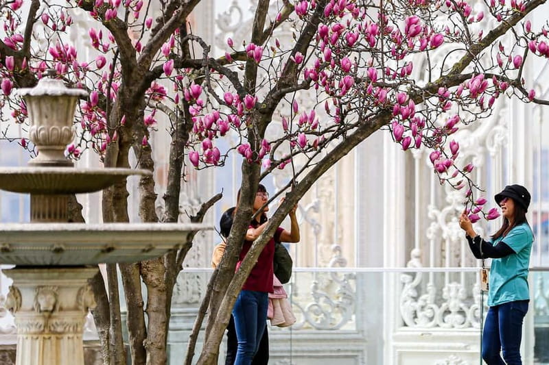 Dolmabahce Palace & Harem Fast-Track Entry with Audio Guide - The Harem section is worth protecting time for
