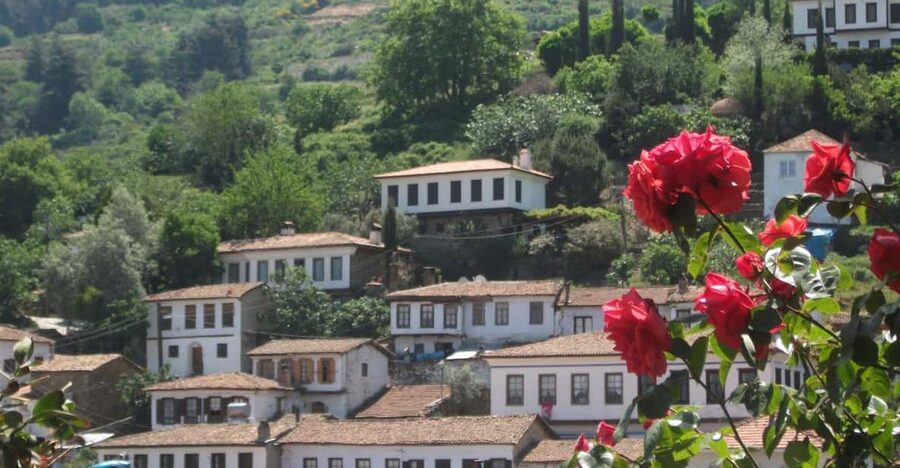 Ephesus and Sirince Tour from Izmir / Kusadasi - What the walking feels like at Ephesus