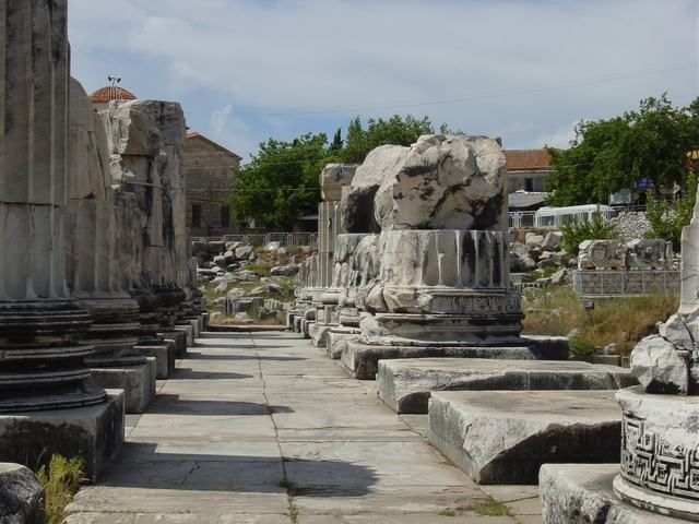 Ephesus, Priene, Miletos and Didyma Tour - Priene: A Hilltop Lesson in City Planning