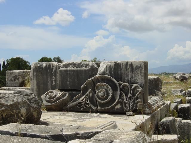 Ephesus, Priene, Miletos and Didyma Tour - What the Guide and Driver Add