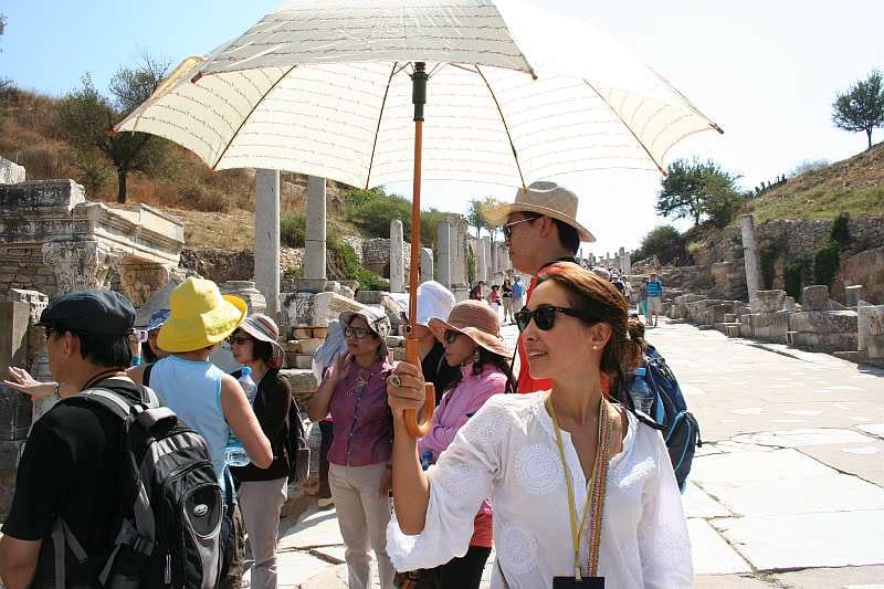 Ephesus: Small Group Tour for Cruise Passengers - What the guides add to the experience