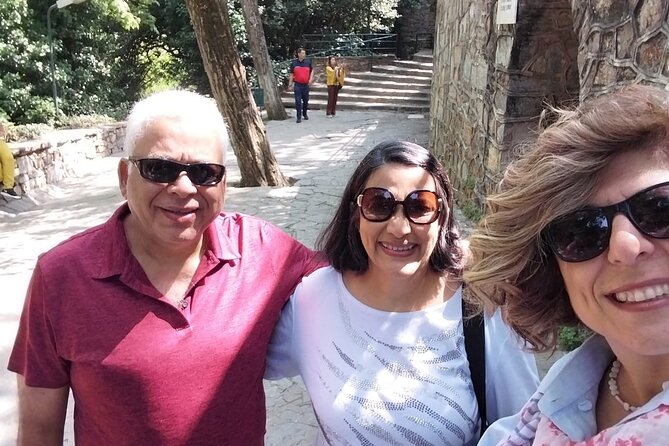 Ephesus Temple of Artemis and House of Mary Private Half Day Tour - The Temple of Artemis and what remains