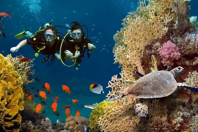 Exciteful Scuba Diving Experience in Antalya - What the Antalya underwater trip includes